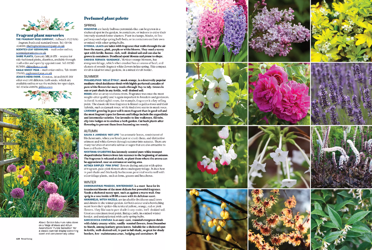 Period Living February 2021 issue preview