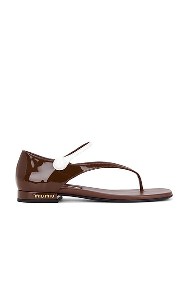 Thong Sandal
