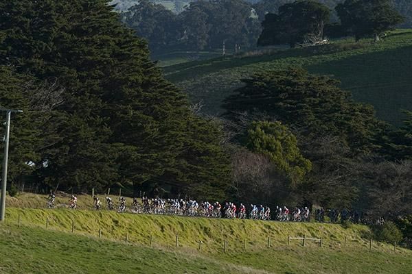 The peloton make their way up the lower slopes of Mt.Misery on stage two.