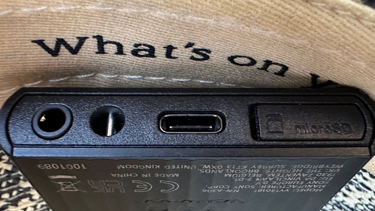 The Sony NW-A306's ports