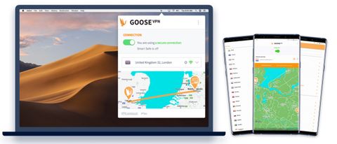 Goose VPN review