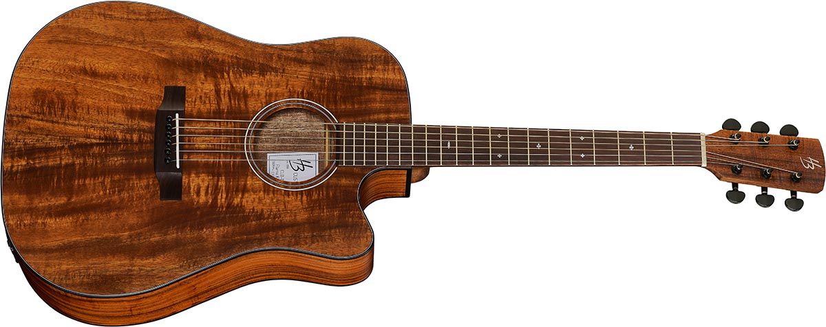 Harley Benton Exotic Wood Custom Line