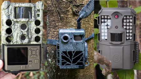 Three trail cameras outside in a montage