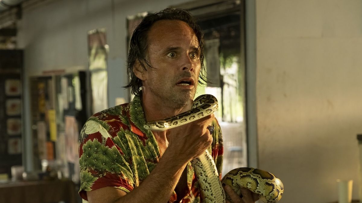 Rick holding a cobra in The White Lotus Season 3