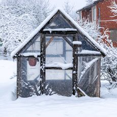 Wood frame green house in the snow 