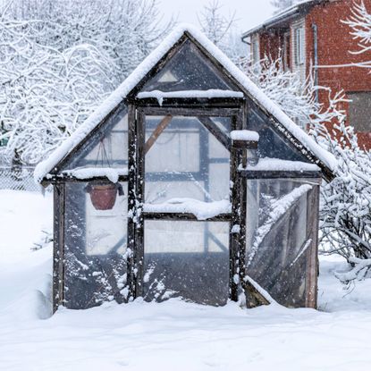 Wood frame green house in the snow 