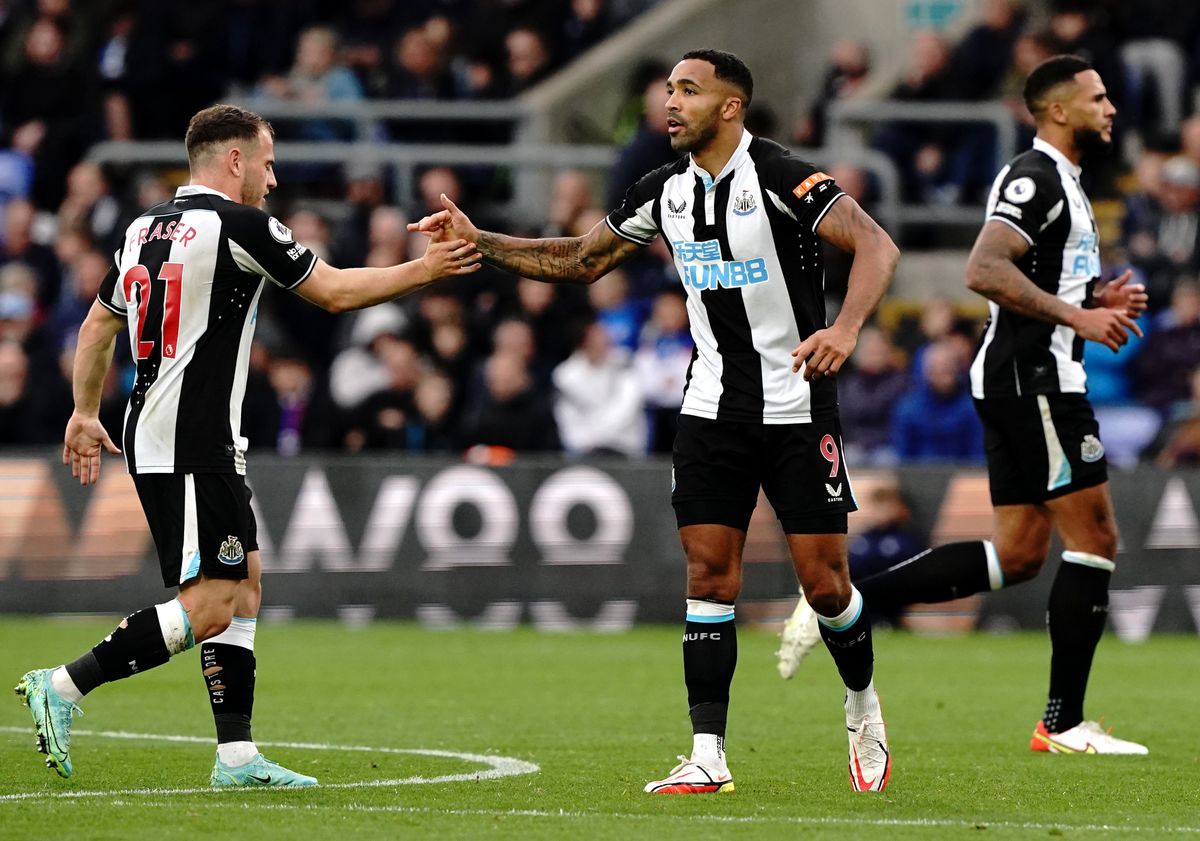 Crystal Palace v Newcastle United – Premier League – Selhurst Park