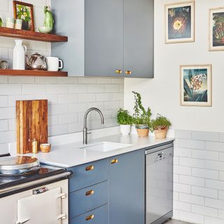 A modern kitchen with blue cabinetry, cream aga cooker, stainless steel kitchen sink and wooden shelving