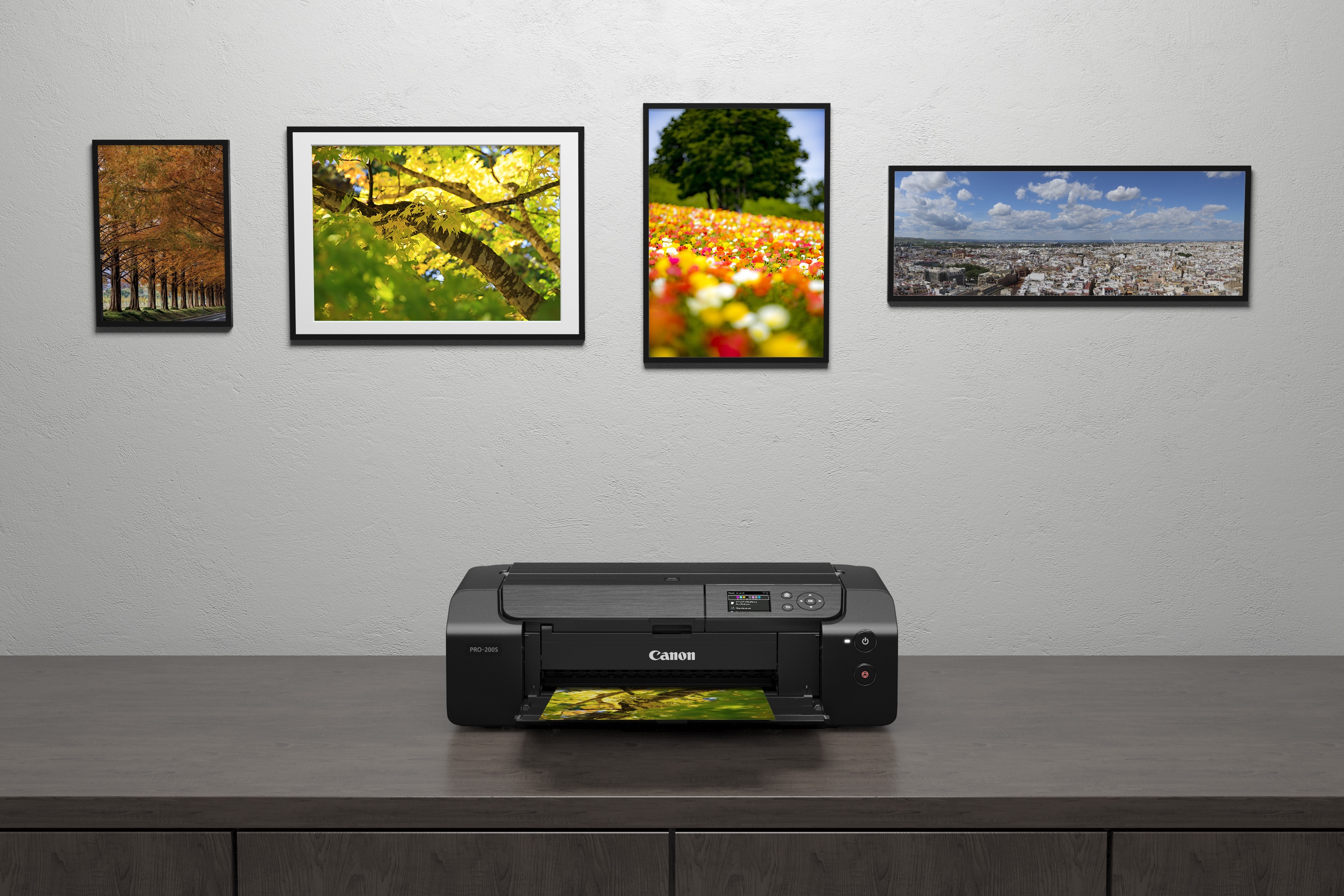Canon professional printers