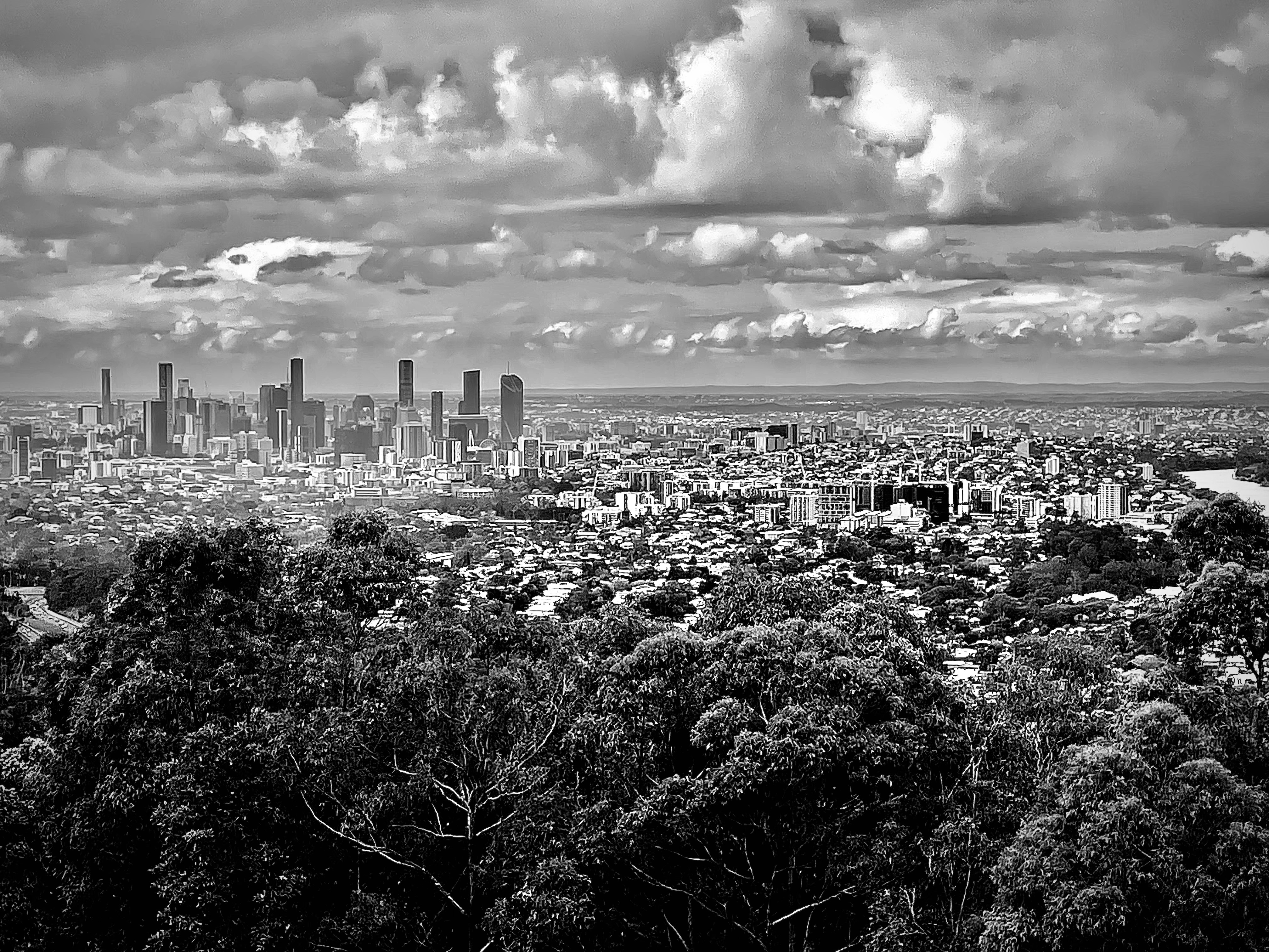 GuruShots - Monochrome Moments Jan 26