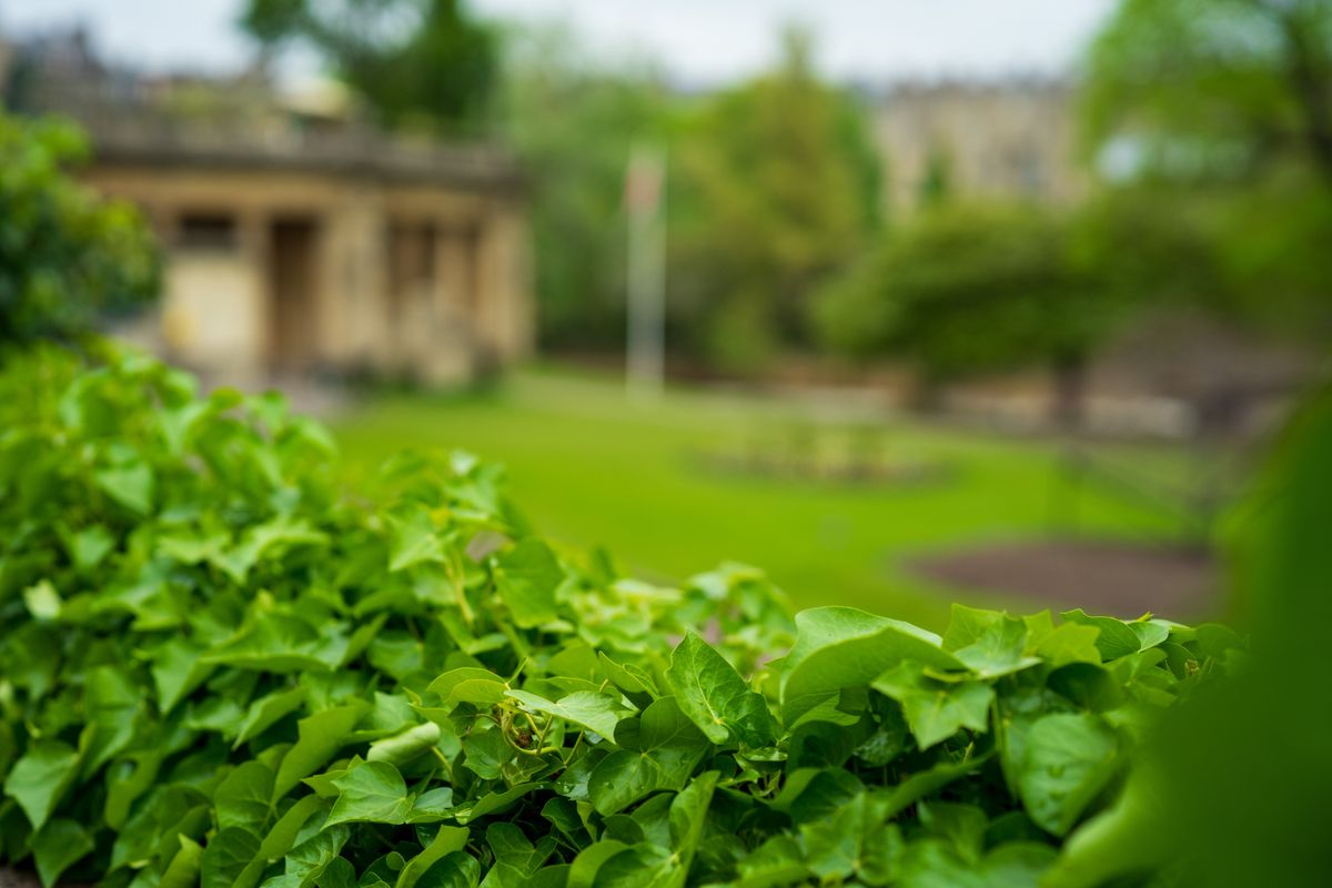 Zeiss Otus ML 50mm f/1.4 example shot