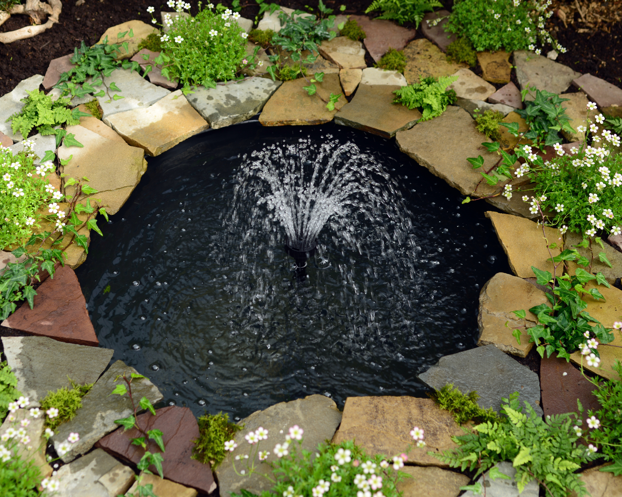 Small pond with solar water fountain, surrounded by rocks and heath pearlwort