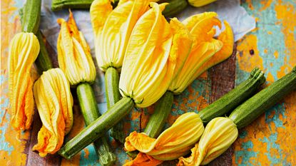 vegetables to plant in April including freshly harvested courgettes and courgette flowers 