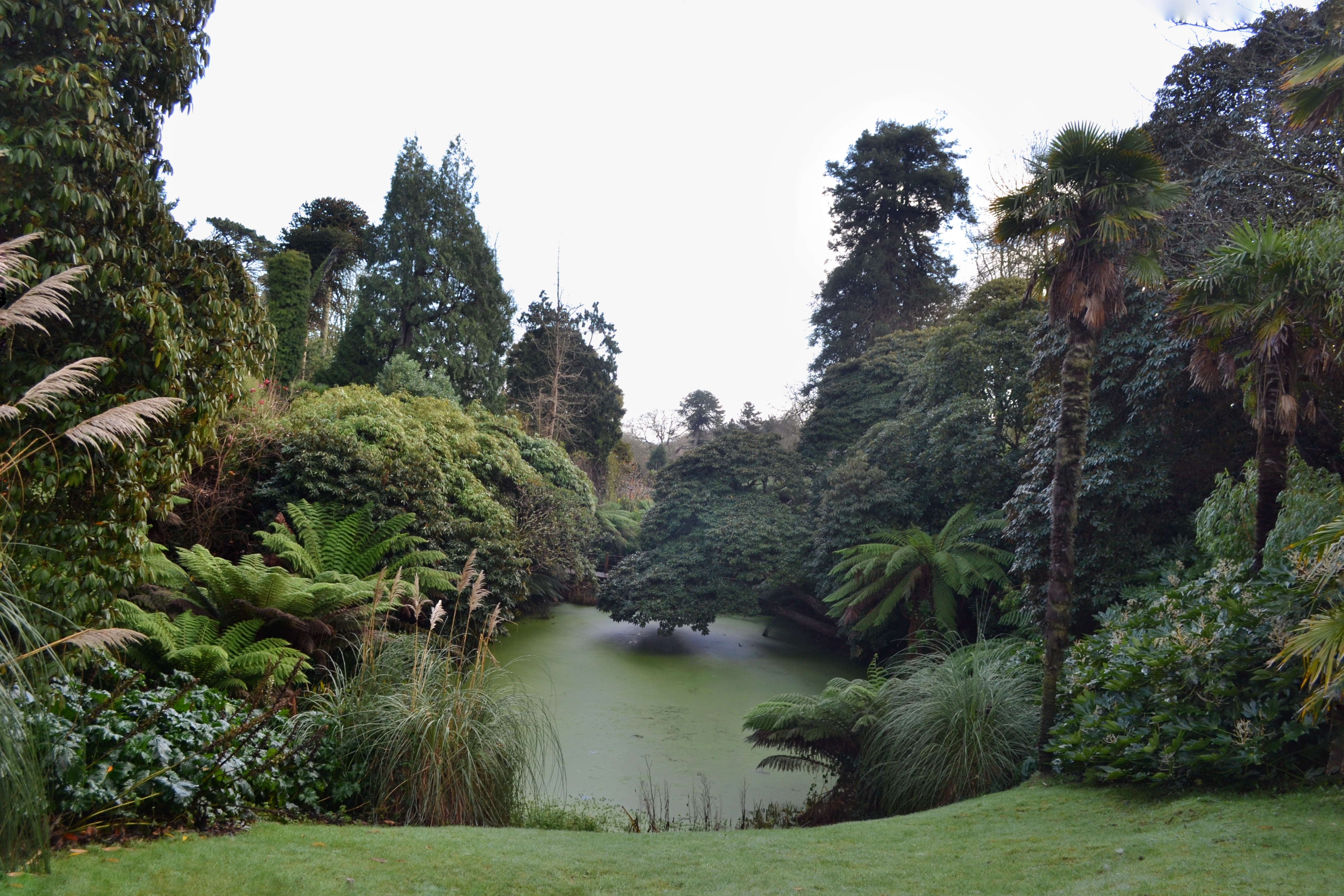 GuruShots - March 2026