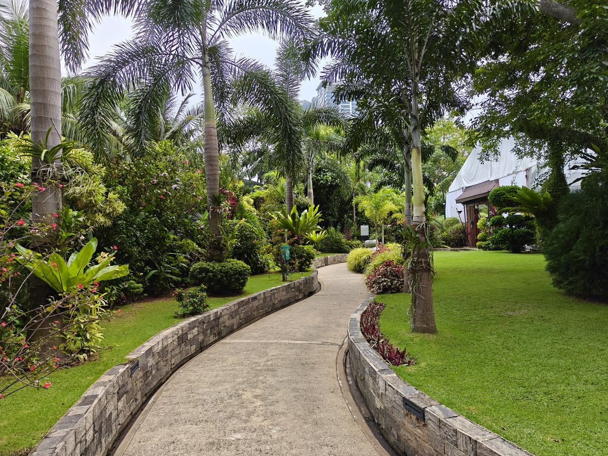 OnePlus 13R camera shots