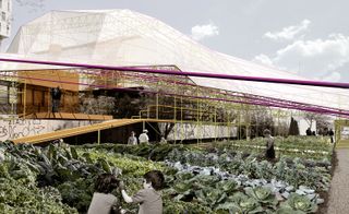 Daytime outside image of the museum wrapped in transparent vinyl skin, which protects the old structure, leaving it unharmed, rows of green planted vegetables, black and white image so two children and three adults placed onto the image, wall graffiti, purple poles, yellow framework blue cloudy sky