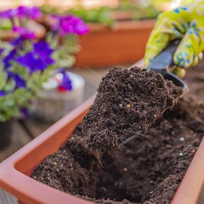 A trowel scoops of soil out of a long trough