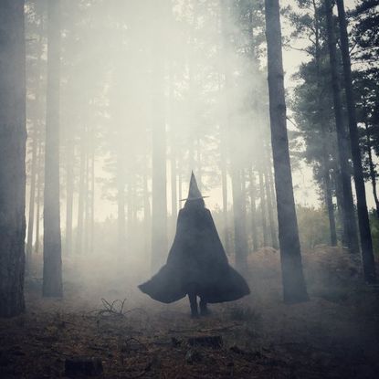 A witch in the woods
