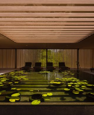 Patina Maldives spa area with water lily pond