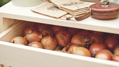 Harvested onions in wooden drawer