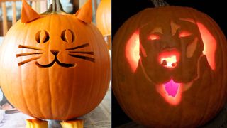 cat and dog pumpkin carving ideas