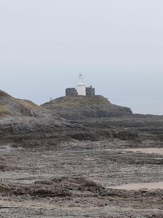 „Oppo Find X3 Lite“ fotoaparato pavyzdys