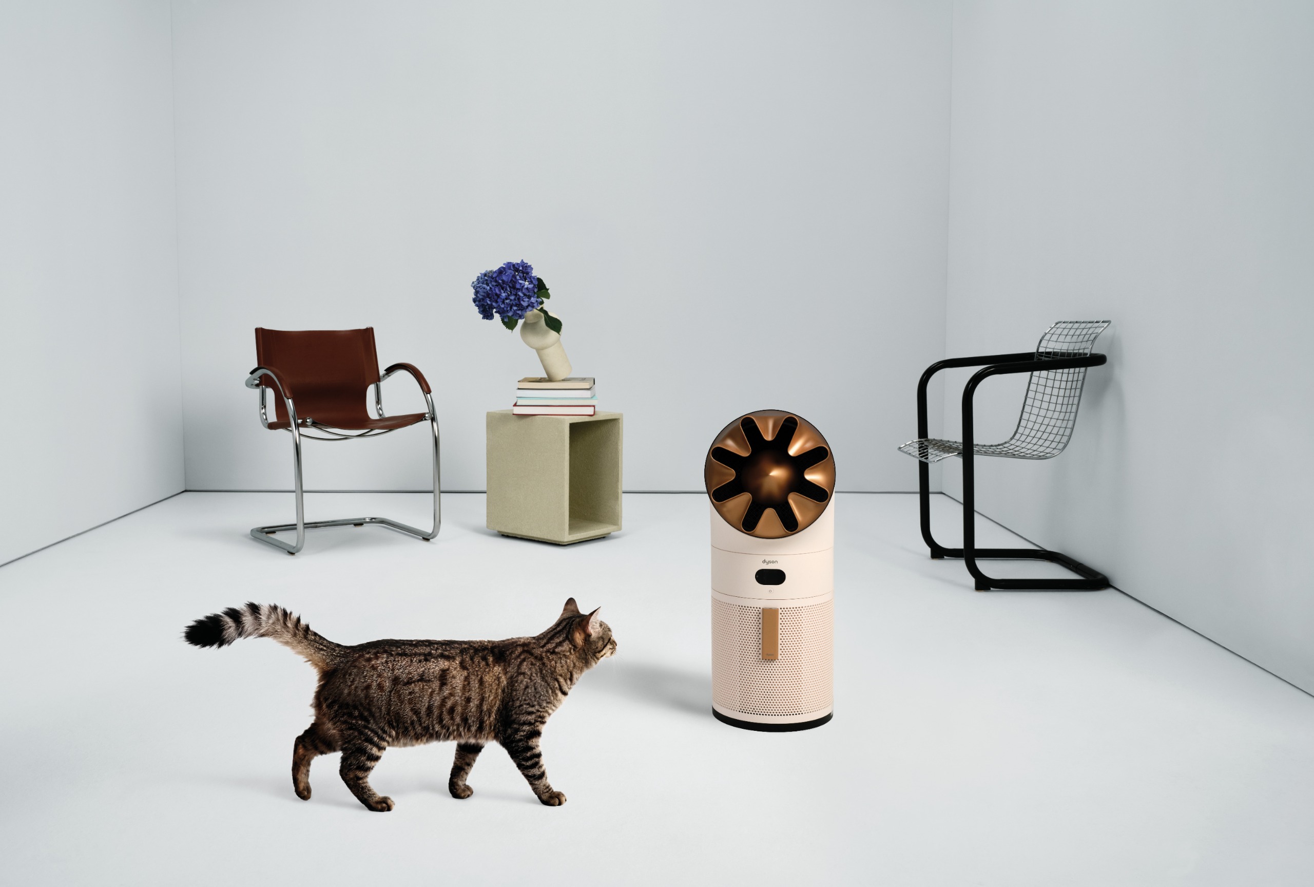 Dyson HushJet&amp;trade; Hot Cool Pure+ air purifier