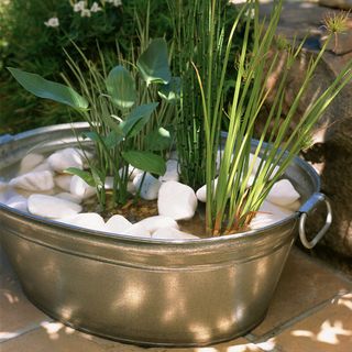 garden grass with metal planter water feature and plants