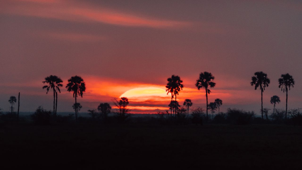 Jack's Camp, Botswana
