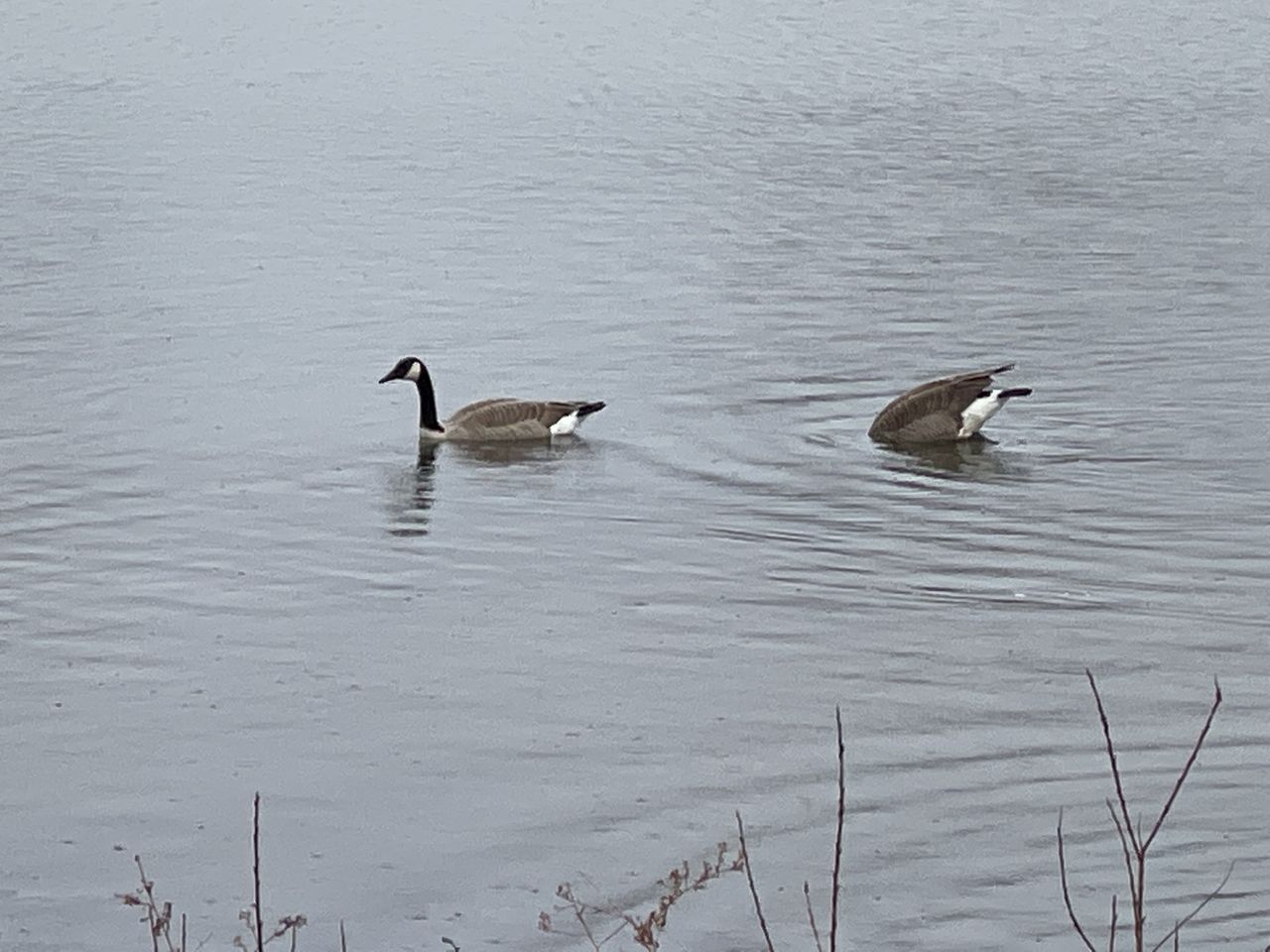 iPhone 12 Pro Max camera sample