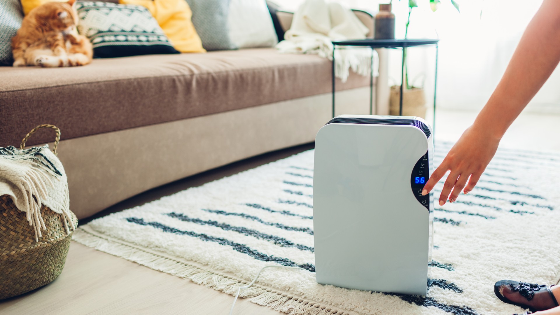 How much does it cost to run a dehumidifier? Experts explain Woman & Home