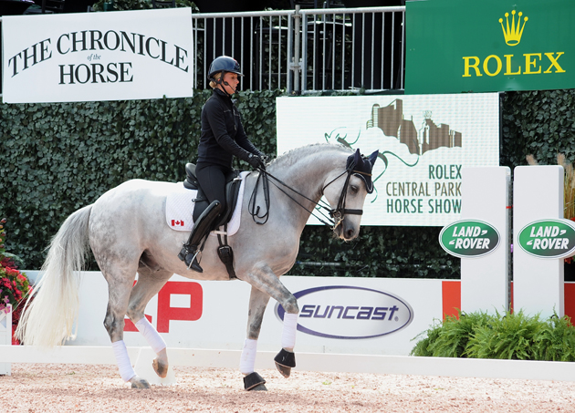 central park show charlotte dujardin master class d700 nj h no. 7249 Charlotte Dujardin renaissance tyme x 300dpi