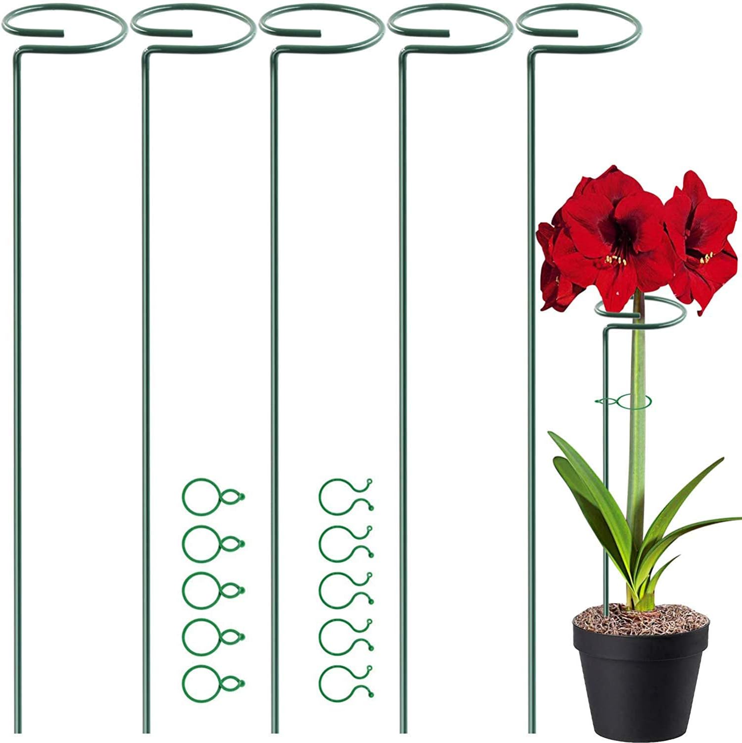 Higift 17 Inch Plant Support Stakes, 4mm Thick Garden Single Stem Flower Support Stake Amaryllis Plant Cage Support Rings With 10 Pcs Plant Clips for Tomato Orchid Lily Peony Rose Flower Stem-5 Pack
