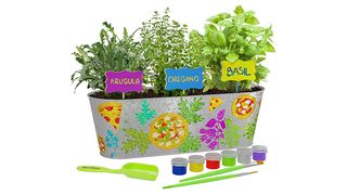 Dan&Darci Paint & Plant pizza herb growing kit