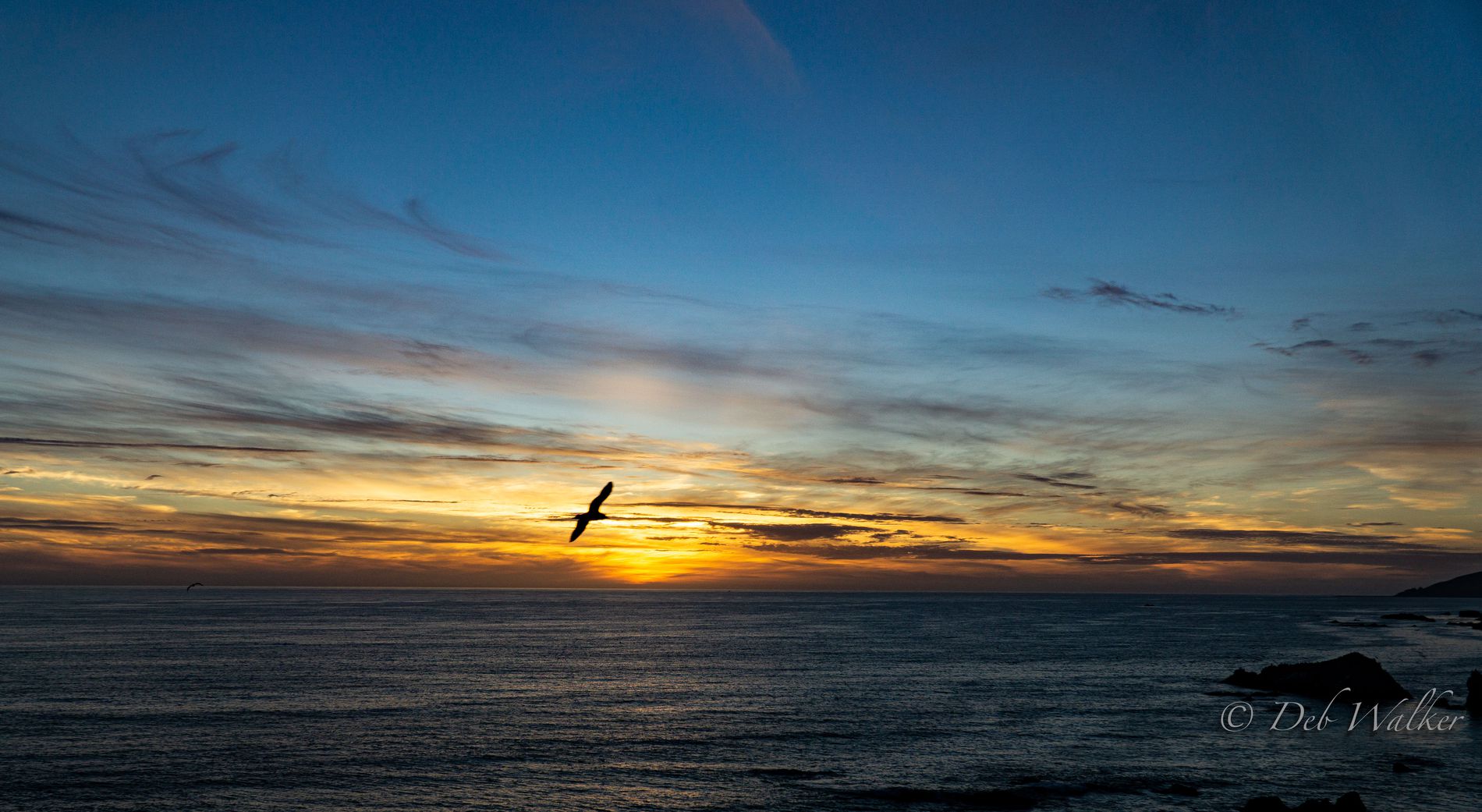 GuruShots - Nature March 2026