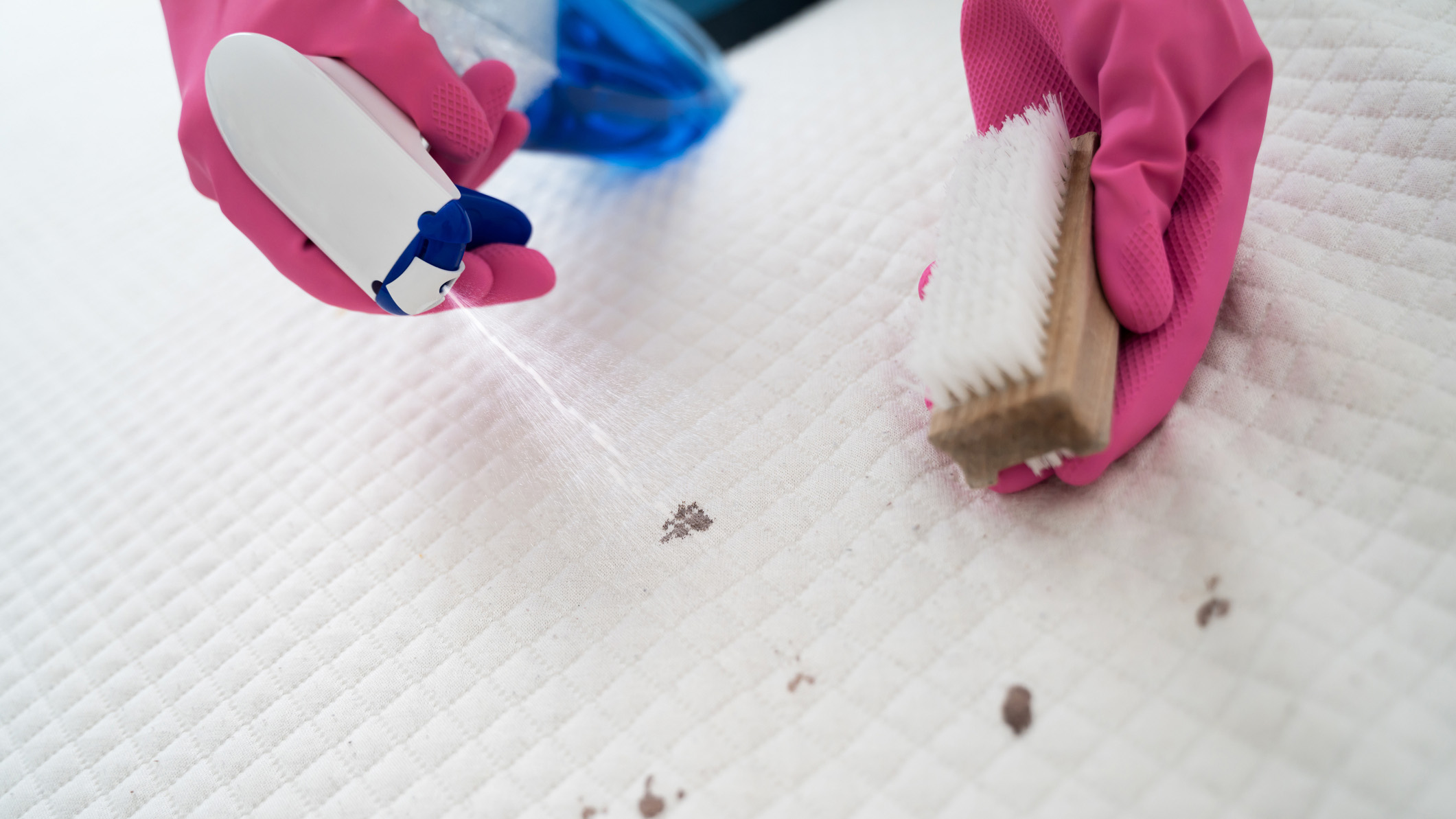 Cleaning a mattress with a brush to get rid of dried blood
