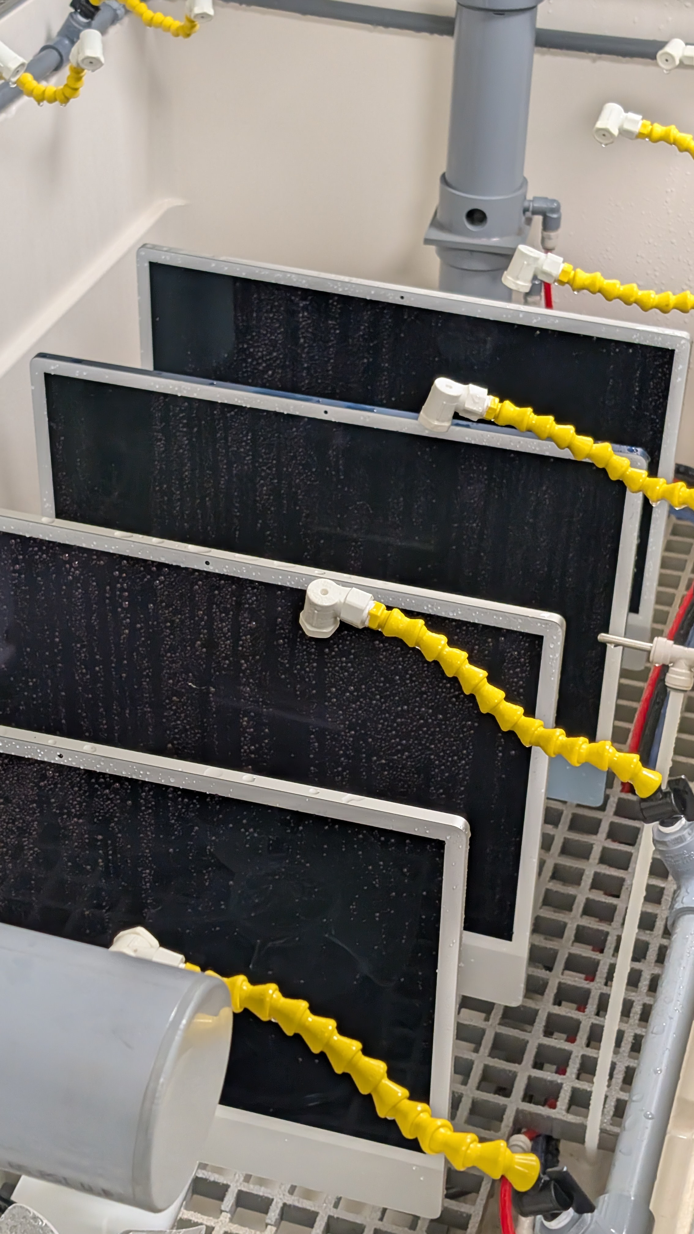 Displays are given the salt water treatment