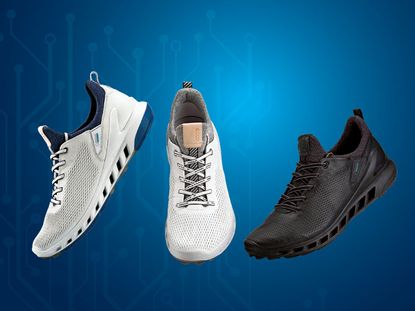 Ecco store biom 2019