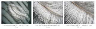 Comparative macro images of feathers, shot on Hasselblad X Extension Tubes, to illustrate magnification