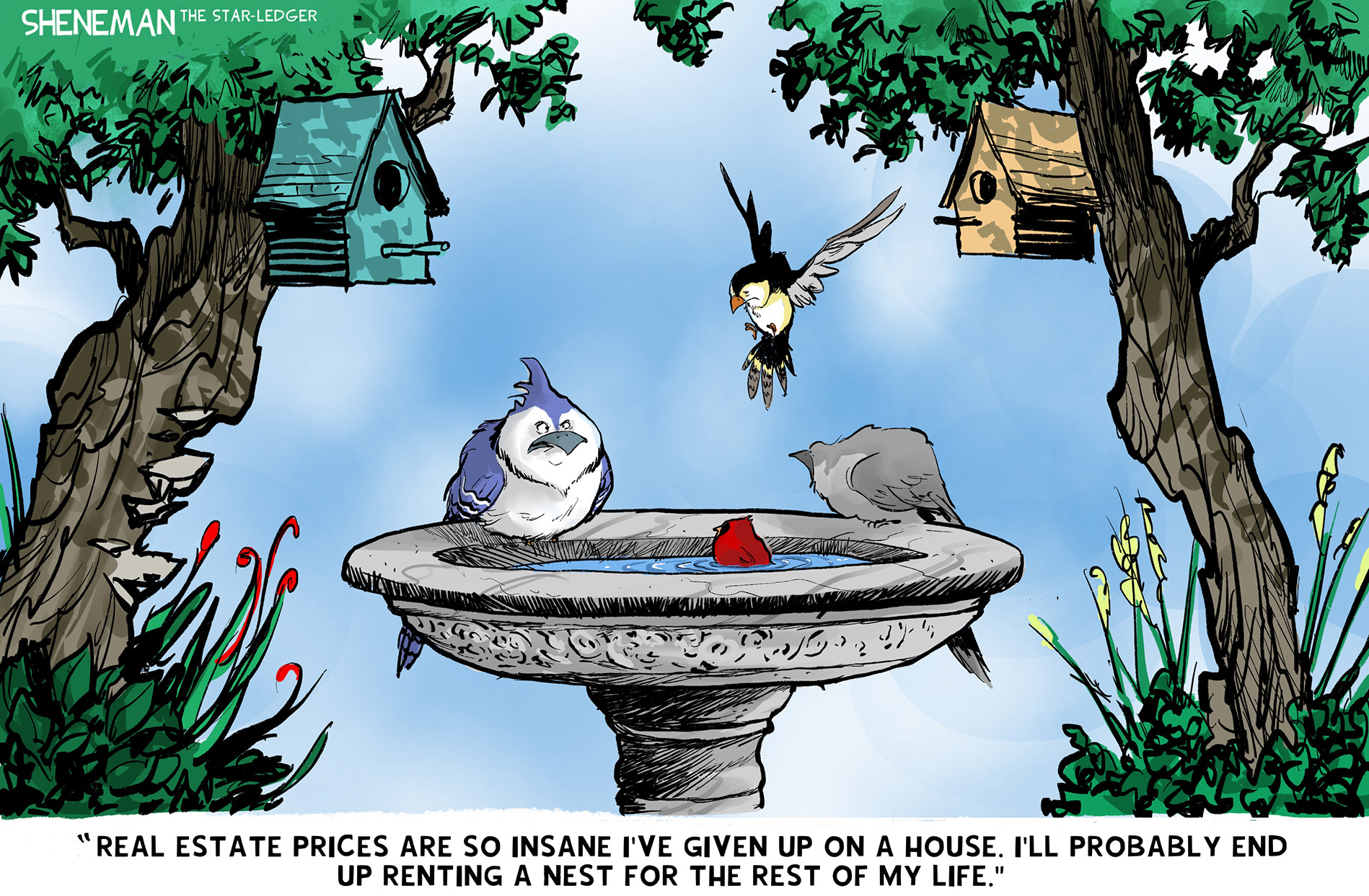 A group of birds commiserates in a stone bird bath next to two nests in nearby trees. One bird says, &amp;ldquo;Real estate prices are so insane I&amp;rsquo;ve given up on a house. I&amp;rsquo;ll probably end up renting a nest for the rest of my life.&amp;rdquo;