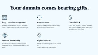 Domain Features