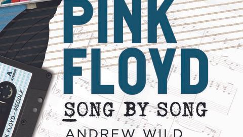 Pink Floyd Song By Song by Andrew Wild book cover