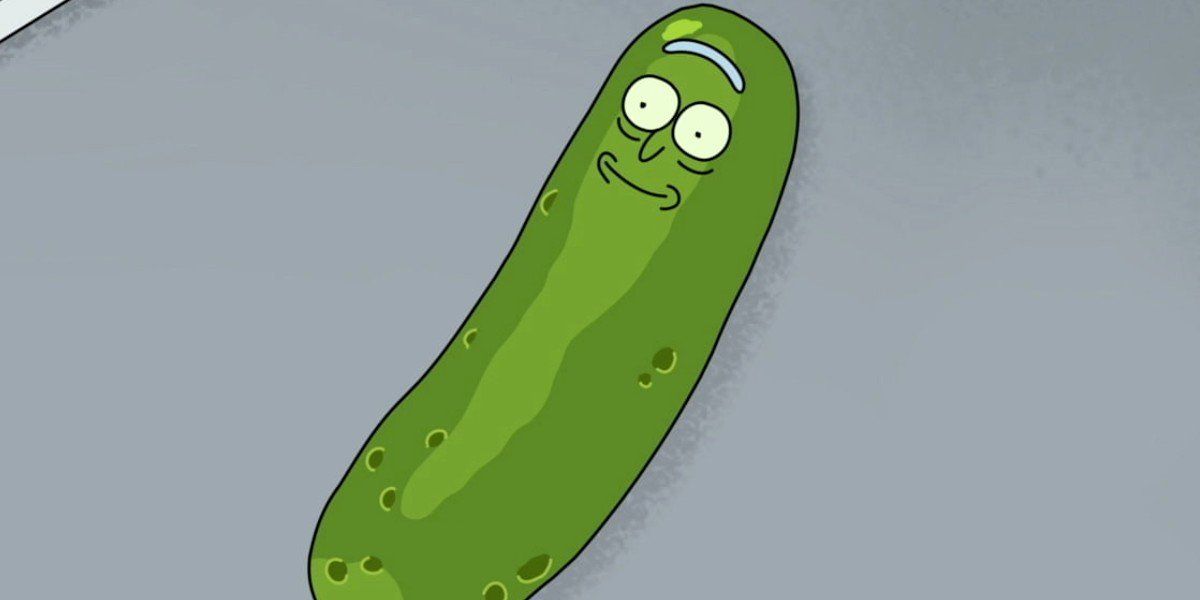 Pickle Rick meets Mr. Pickles : r/rickandmorty