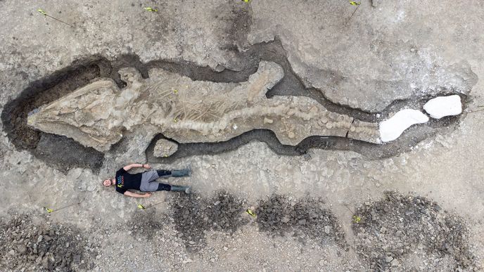 Enormous sea dragon fossil from 180 million years ago discovered in England