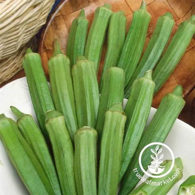 Okra Seeds - Clemson Spineless 80
