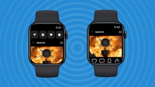 lens app on apple watch