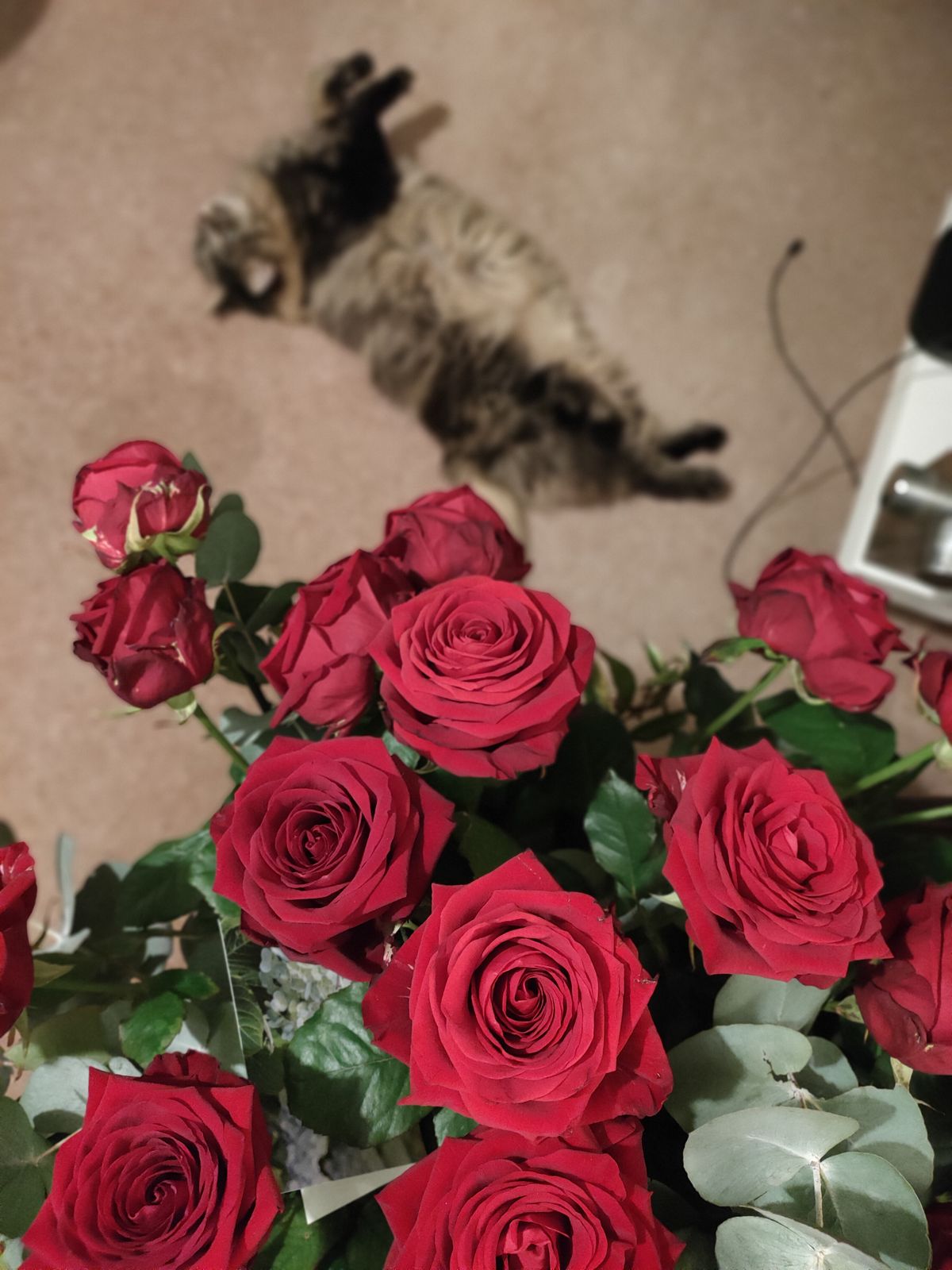 Oppo Reno 4 5G camera sample