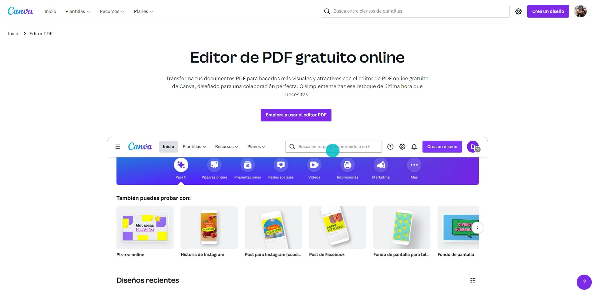 Captura de pantalla de Canva PDF Editor