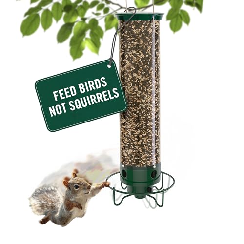 Droll Yankees Squirrel Proof Bird Feeder for Outdoors &amp;ndash; Rechargeable Weight-Activated Rotating Perch, 5lb Seed Capacity, Metal Base, Uv-Stabilized Seed Tube, Hanging Green Yankee Flipper, Yf-M