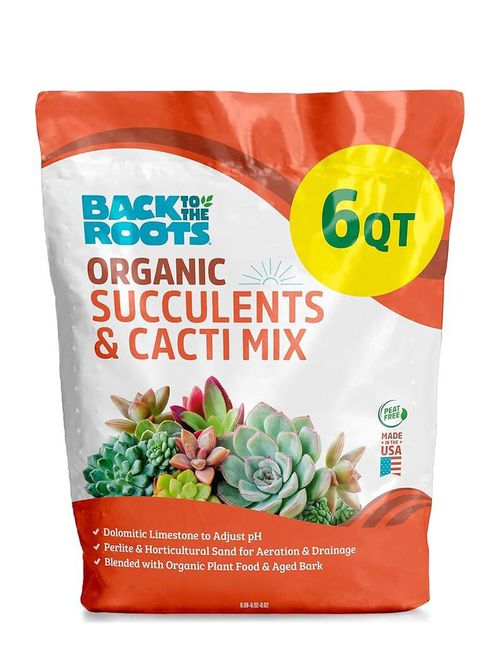 Back to the Roots 100% Organic Succulent & Cacti Mix